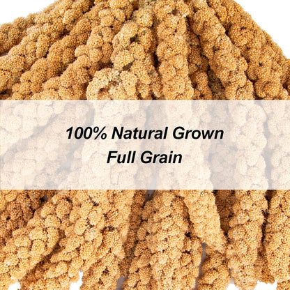 Amzey 5.5 LB Spray Millet for Parakeets, 100% Natural Dried Millet Grain for Birds, Non-GMO Bird