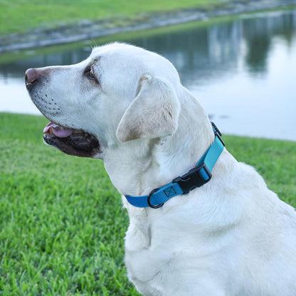 Dogline Biothane Waterproof Dog Collar with Quick Release Buckle Strong Coated Nylon Webbing with
