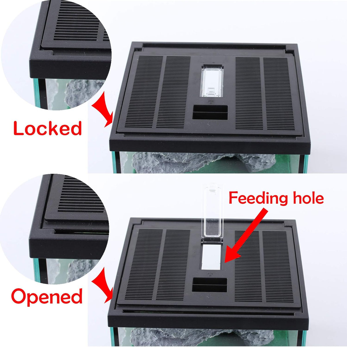 crapelles Glass Lizard Tank, Spider Box Kit, 7.8x7.8x5.9'' Tarantula Feeder Insects Beetle Habitat