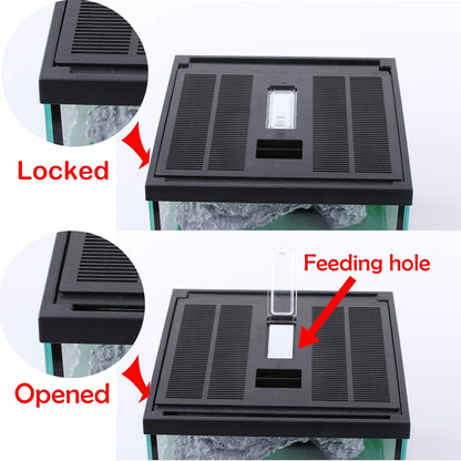 crapelles Glass Lizard Tank, Spider Box Kit, 7.8x7.8x5.9'' Tarantula Feeder Insects Beetle Habitat