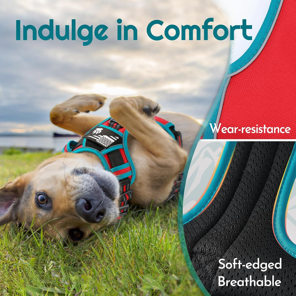 Eagloo Dog Harness Small Sized, Easy Wearing with 3 Buckles, Adjustable No Pull Pet Harness with 2