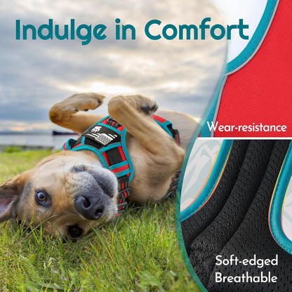 Eagloo Dog Harness Small Sized, Easy Wearing with 3 Buckles, Adjustable No Pull Pet Harness with 2