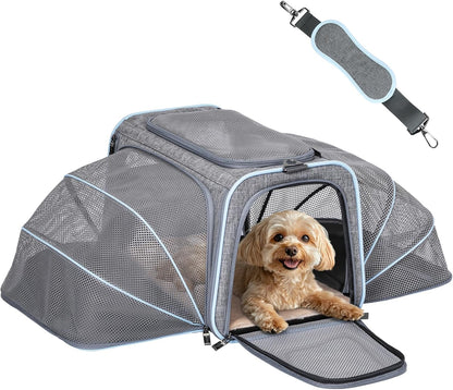 Petsfit Expandable Large Cat Carrier Small Dog Carriers Airline Approved, 17" Lx 11" Wx 11" H