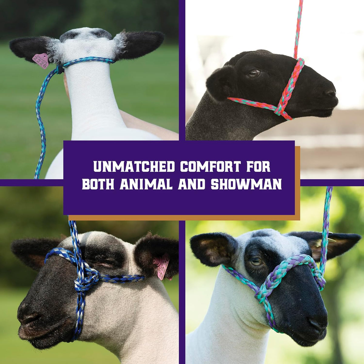 Weaver Livestock Poly Rope Sheep Halter, Modern Style Braid Sheep and Goat Rope Halter, Adjustable
