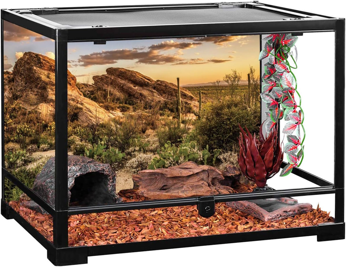 AWERT Reptile Habitat Background Blue Sky Oasis Cactus Sun and Desert Terrarium Background 36x24