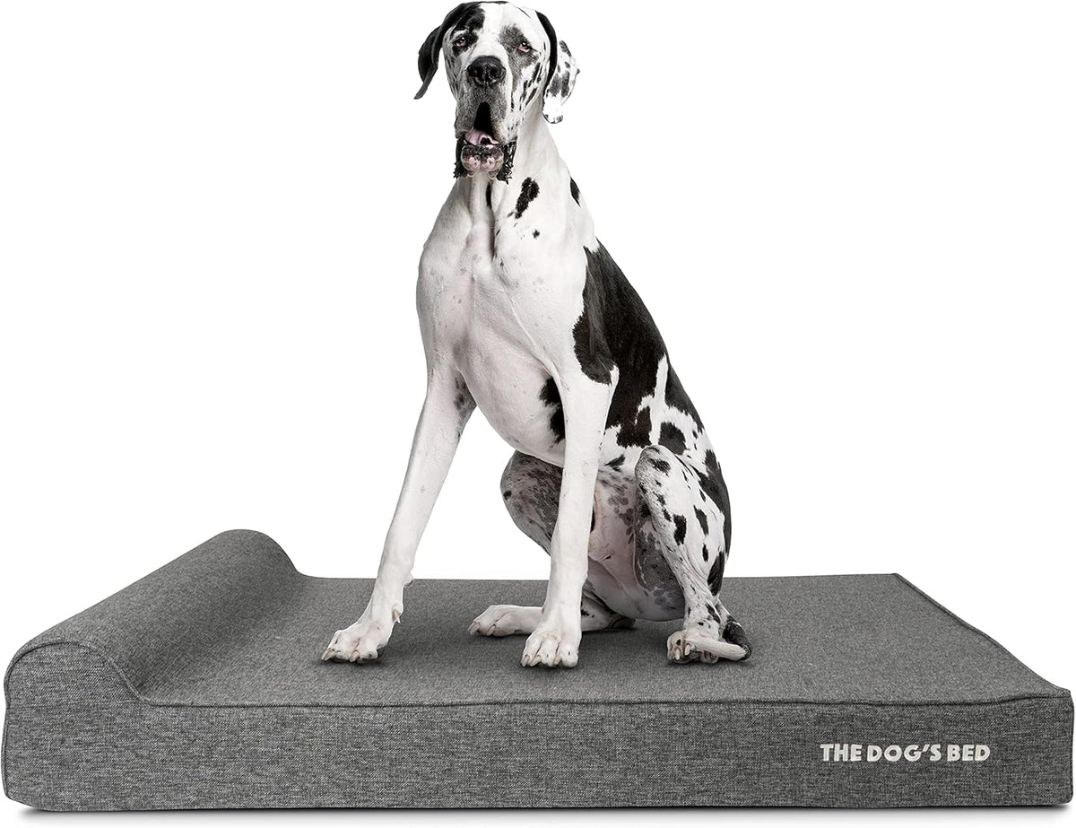 The Dog’s Bed Orthopedic Headrest Dog Bed XXL Grey Linen 54x36, Memory Foam, Pain Relief for