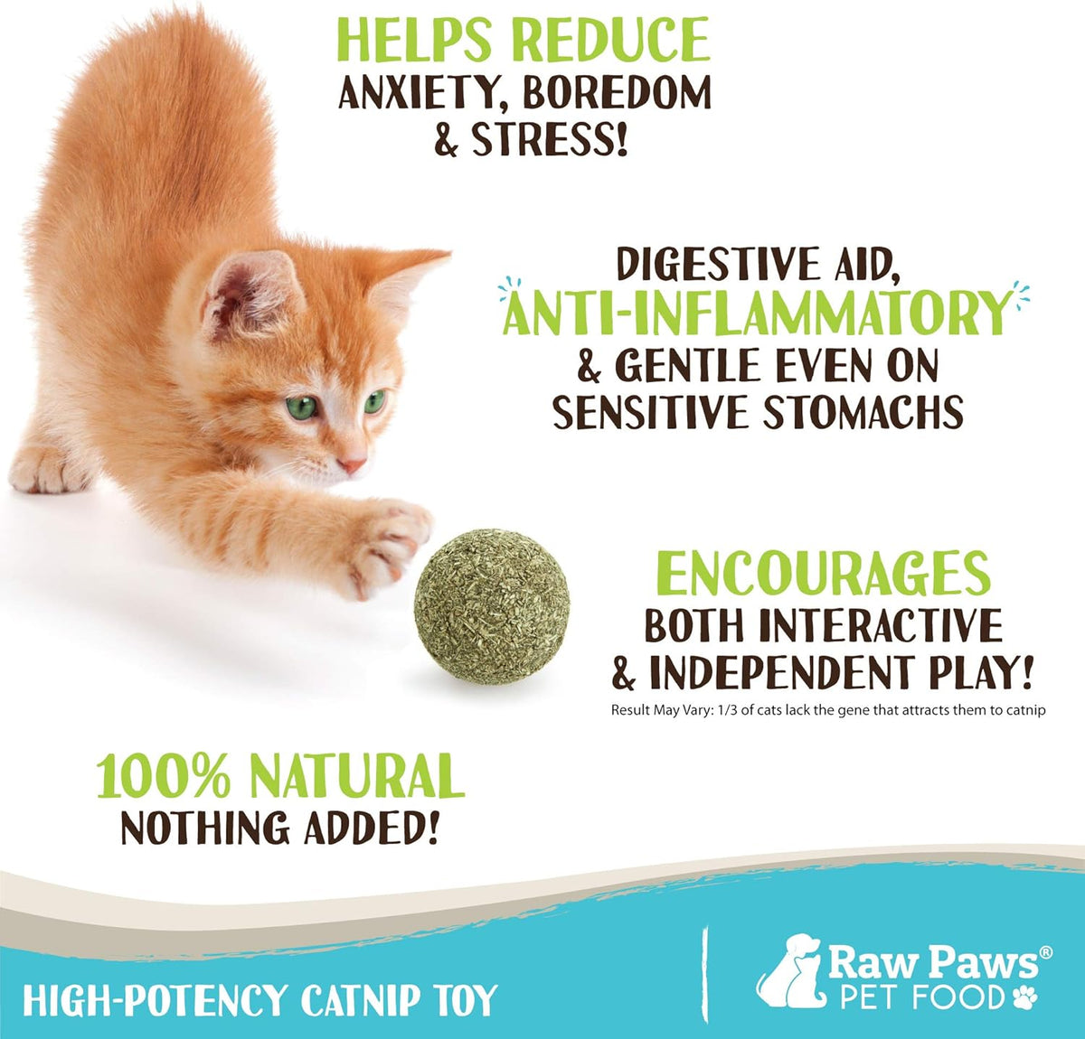 Raw Paws Catnip Balls for Cats, (6-Count) - Interactive Cat Toy for Indoor Cats - Cat Nip Licking