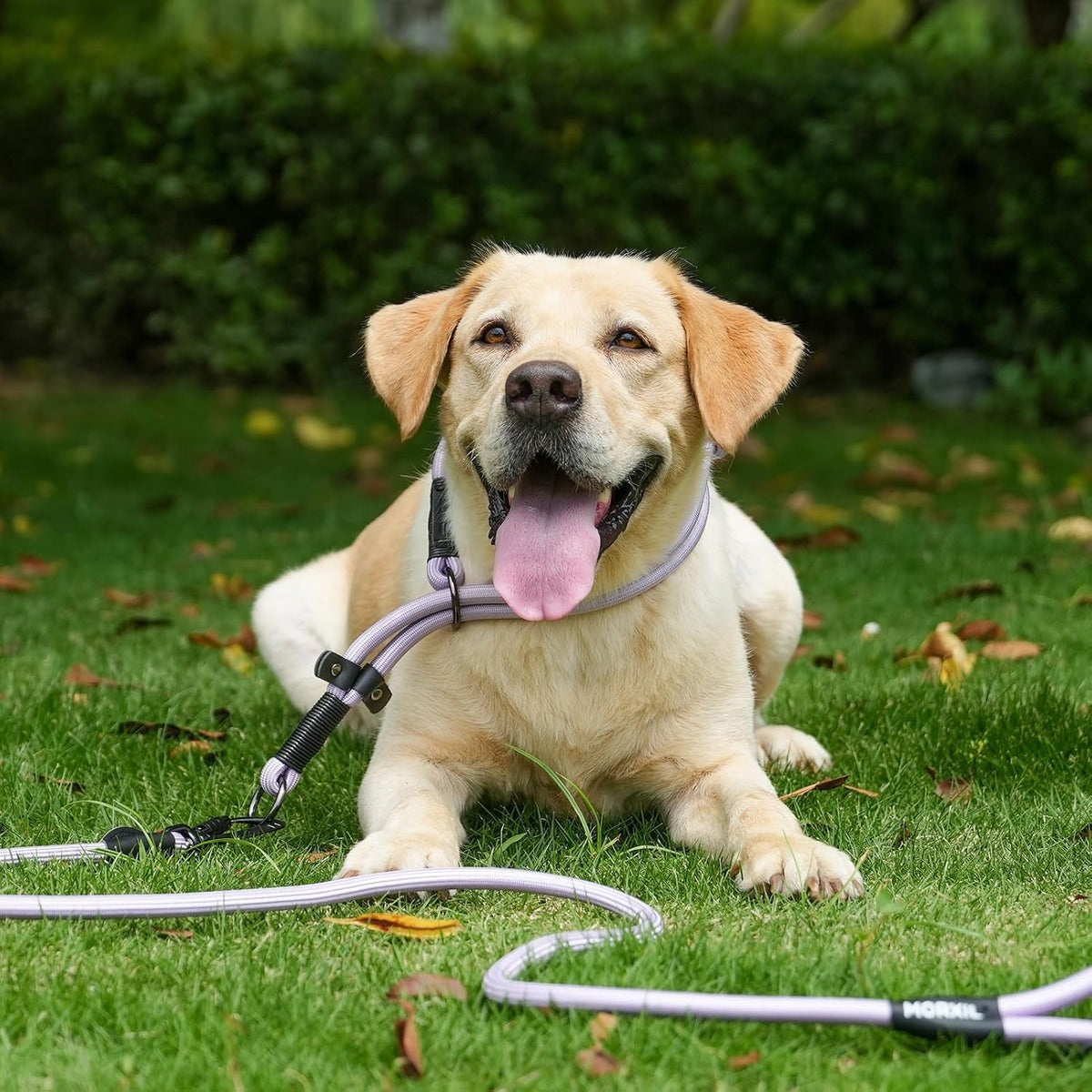 Rope Dog Leash, 4 ft Heavy Duty Dog Leash with Aviation Aluminum Auto Locking Carabiner, Strong