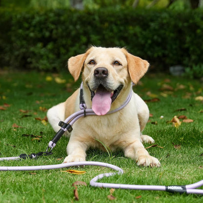 Rope Dog Leash, 4 ft Heavy Duty Dog Leash with Aviation Aluminum Auto Locking Carabiner, Strong