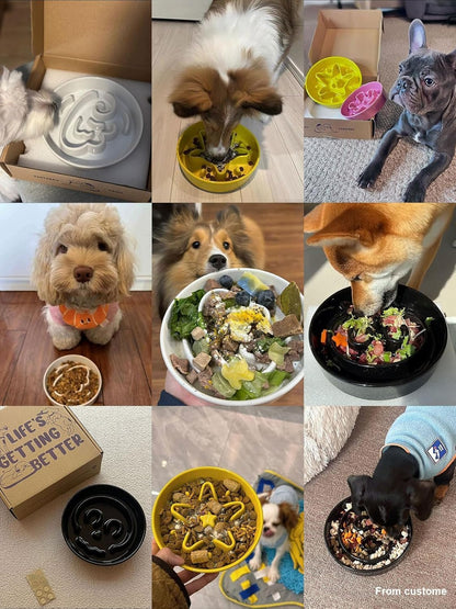 LE TAUCI Ceramic Slow Feeder Dog Bowls Small Breed, 0.6 Cups Elevated Dog Bowl for Fast Eaters