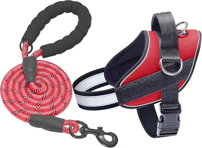 Haapaw Essential Dog Harness, No Pull Pet Vest with 3 Leash Clips, No Choke, Reflective, Adjustable