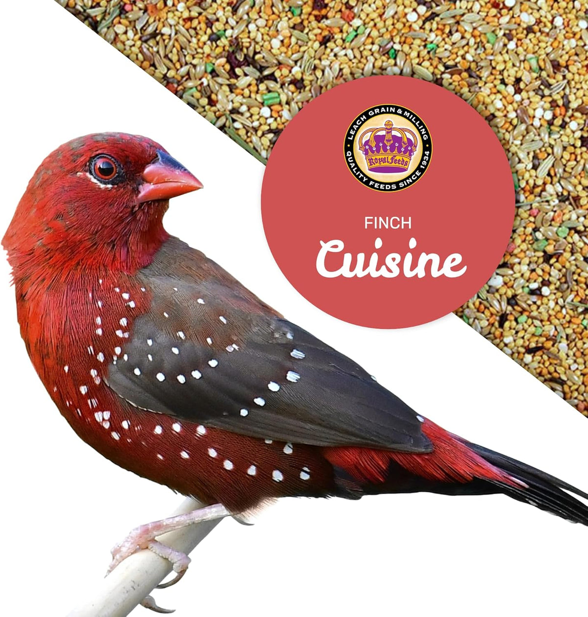 LEACH GRAIN & MILLING CO. Finch Cuisine 4 Lbs, Finch Food, Nutrient-Rich Blend Bird Seed, Birdseed
