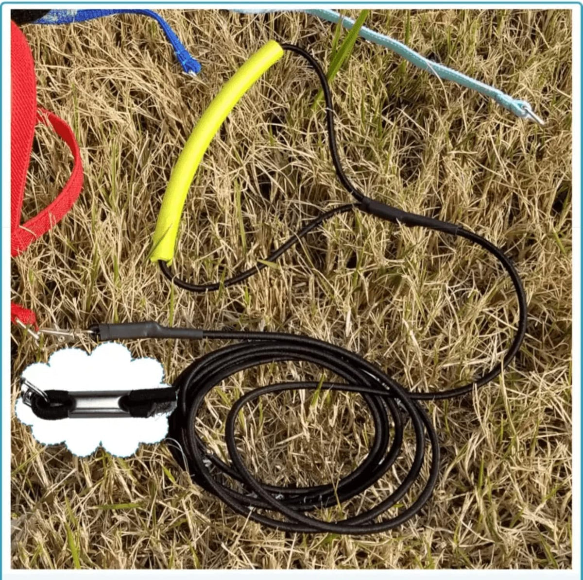 Pet Parrot Bird Harness Leash Adjustable Bird Flying Harness Traction Rope with Cute Wing for