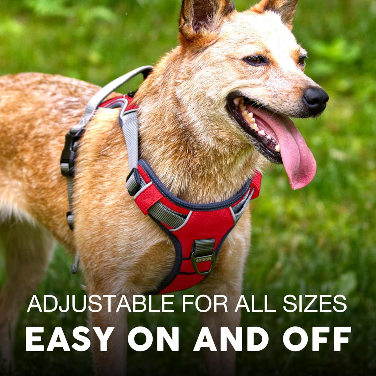 Embark Adventure Dog Harness, Reflective Trim No Pull Dog Harnesses for Small Sized Dogs - Military