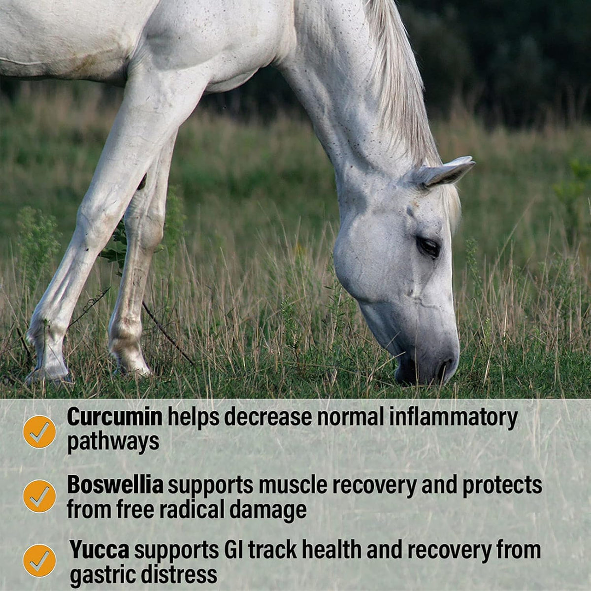 Absorbine Bute-Less Performance Advanced Formula Horse Supplement Pellets, Supports Healthy