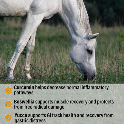 Absorbine Bute-Less Performance Advanced Formula Horse Supplement Pellets, Supports Healthy