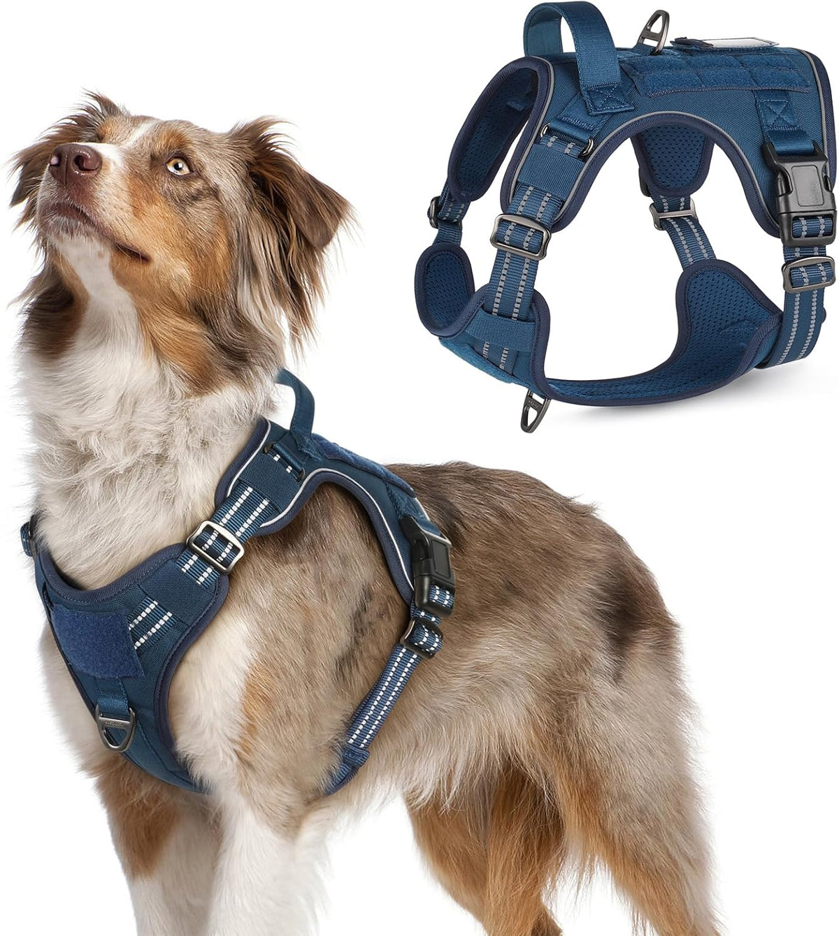 rabbitgoo Dog Harness No Pull, Military Dog Harness Medium Sized Dog with Handle & Molle, Easy