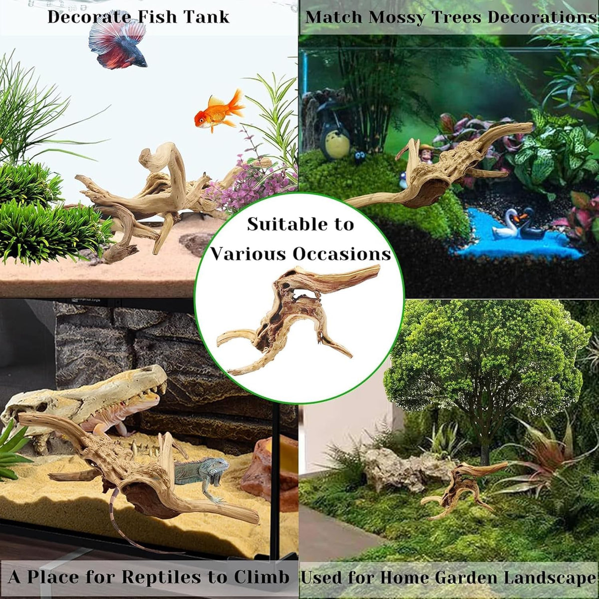 Tfwadmx Natural Driftwood for Aquarium, 11-13 inch Reptile Branches Terrarium Wood Aquarium Trunk