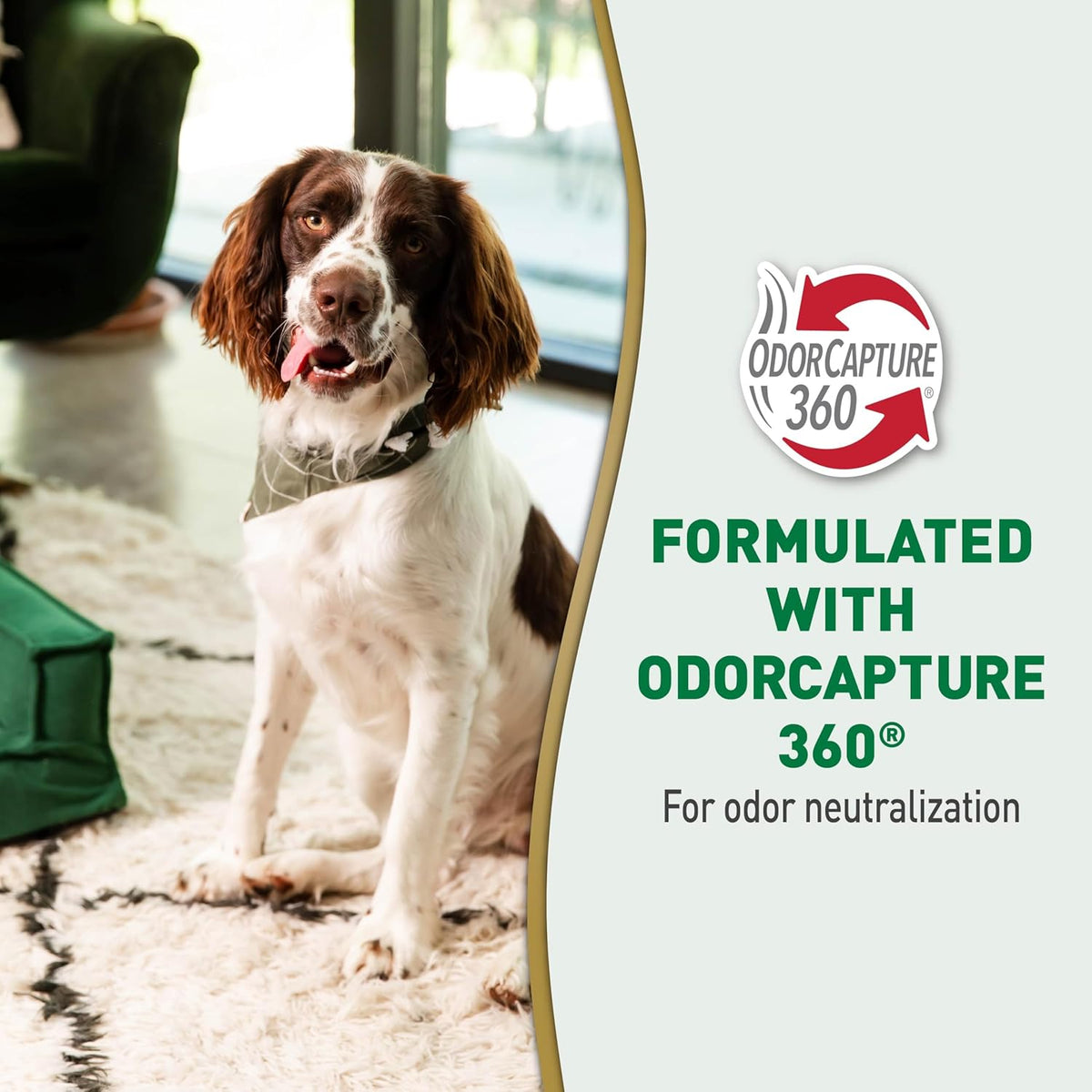 Nature's Miracle Urine Destroyer Plus for Dogs with Flip & Go Sprayer, 64 Ounces, Enzymatic Formula