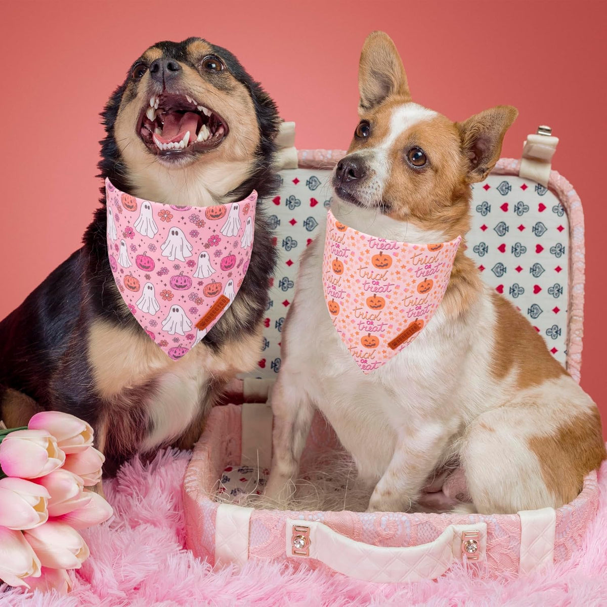 ADOGGYGO Halloween Dog Bandana, Pink Pumpkin Ghost Scarf, Adjustable Fit Female Halloween Bandanas