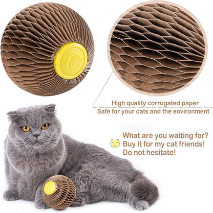 AREIIA Catnip Ball Toy for Cats Catnip Refillable Scratcher Ball Kitty's Faithful Playmate Reduce