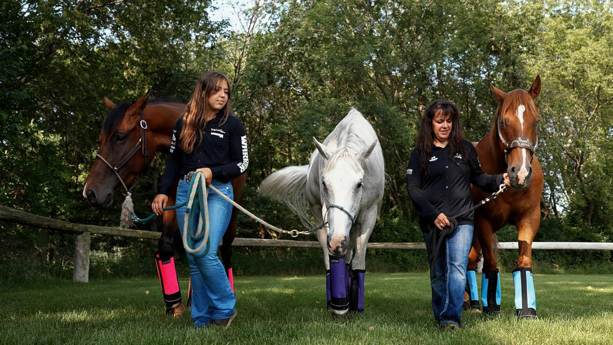 Warrior Fly Boots for Horses - Breathable Mesh Horse Boots for Fly Protection & Leg Comfort - Set