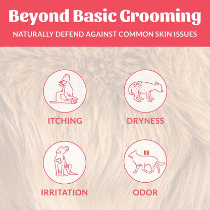 Skout's Honor Probiotic Dog Shampoo & Conditioner with Avocado Oil & Omega-3s, 97% Natural, Paraben