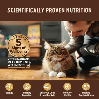 Wellness CORE+ Indoor Pate Adult Wet Cat Food, Natural, Protein-Rich, Grain Free, 3 Ounce, 12 Pack