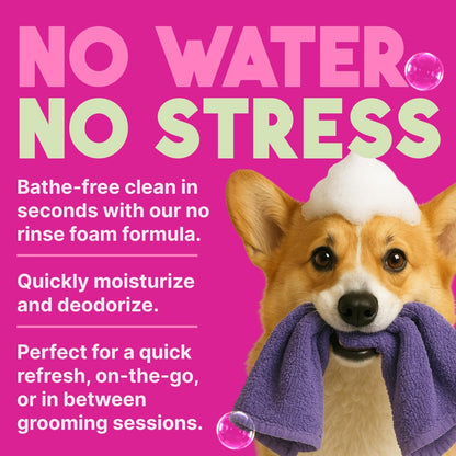 TropiClean No Rinse Waterless Dog Shampoo | Detangling and Deodorizing Dry Shampoo for Smelly Pets