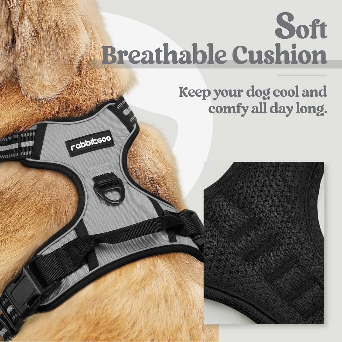 rabbitgoo Dog Harness No Pull with 2 Leash Clips, Adjustable Soft Padded, Reflective Oxford No