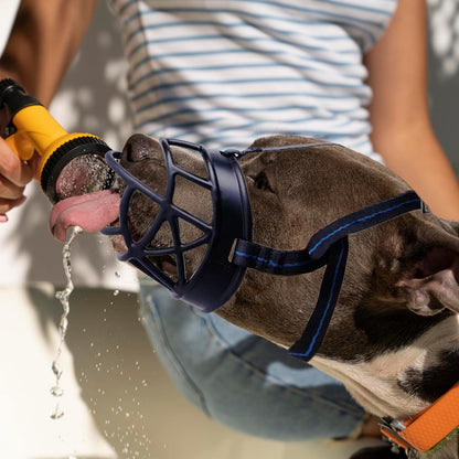 Dog Muzzle, Breathable Basket Muzzles for Small, Medium, Large and X-Large Dogs, Prevent Barking