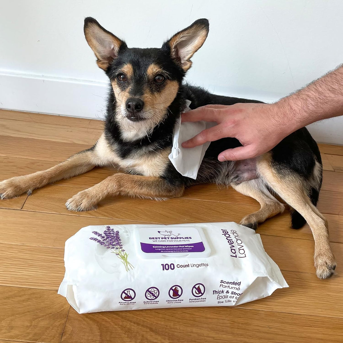 Best Pet Supplies Pet Wipes for Dogs - Dog Wipes Cleaning Deodorizing, for Coats, Ears, Paws