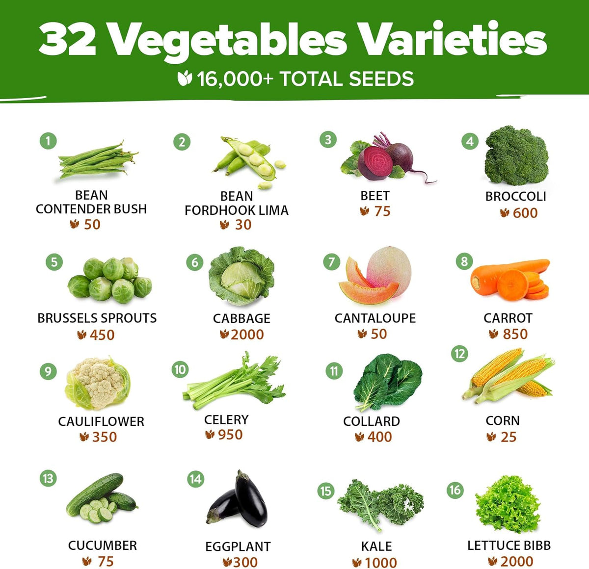 32 Heirloom Vegetable and Fruit Seeds for Planting - 16,000+ Seeds | Non-GMO Survival Seed Vault |