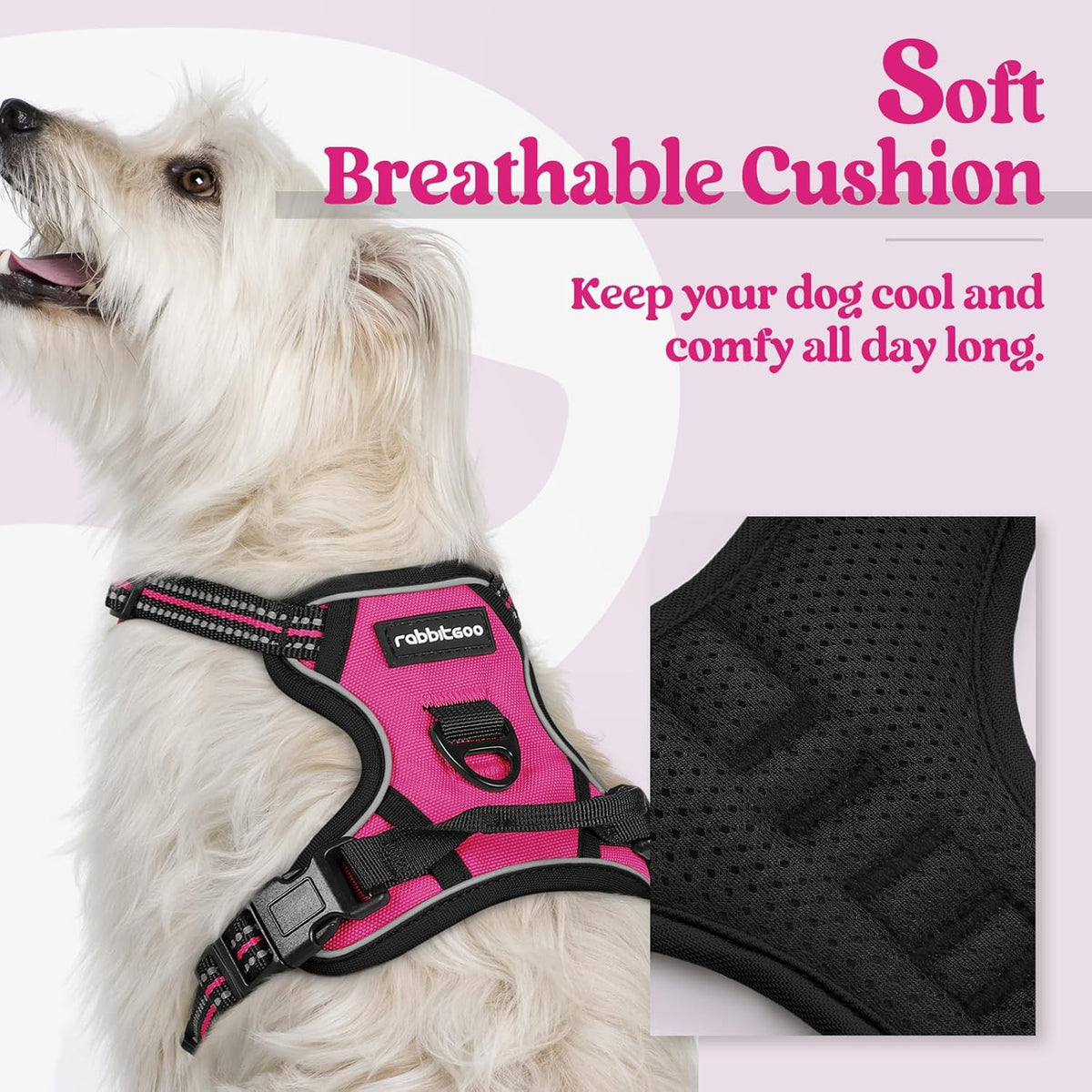 rabbitgoo Dog Harness No Pull with 2 Leash Clips, Adjustable Soft Padded, Reflective Oxford No