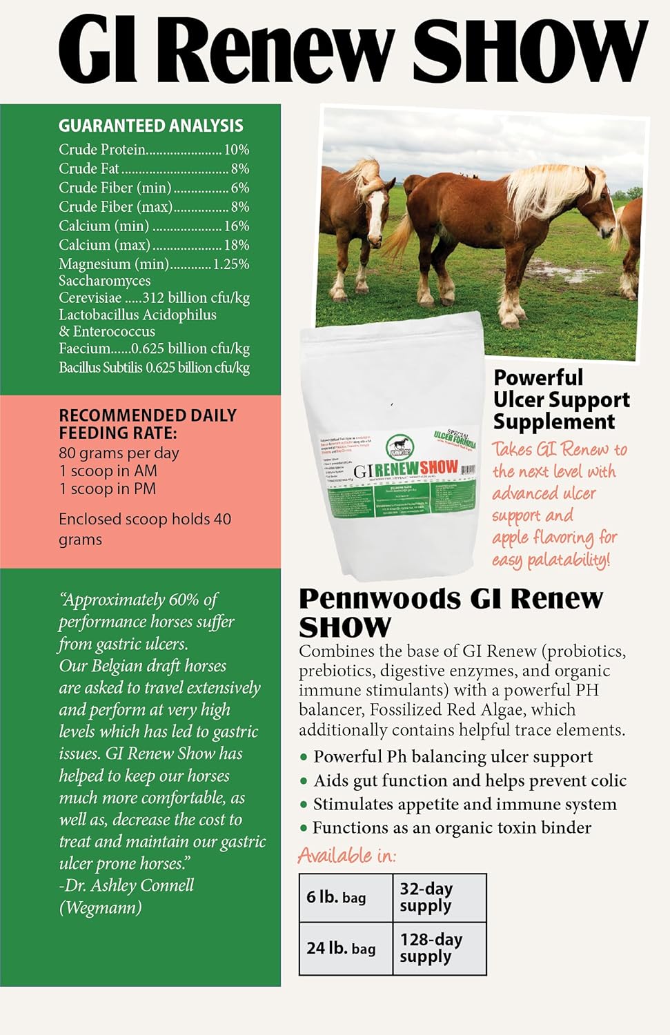 GI Renew Show, Probiotics for Equine, Immune and Appetite Stimulation, Prebiotics, Digestive