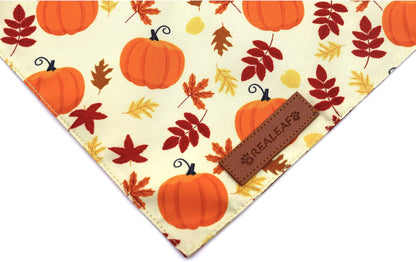 Realeaf Thanksgiving Dog Bandanas 2 Pack, Pumpkins and Happy Thanksgiving Pet Scarf for Boy and