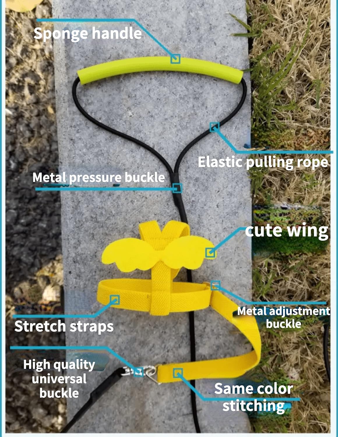 Pet Parrot Bird Harness Leash Adjustable Bird Flying Harness Traction Rope with Cute Wing for