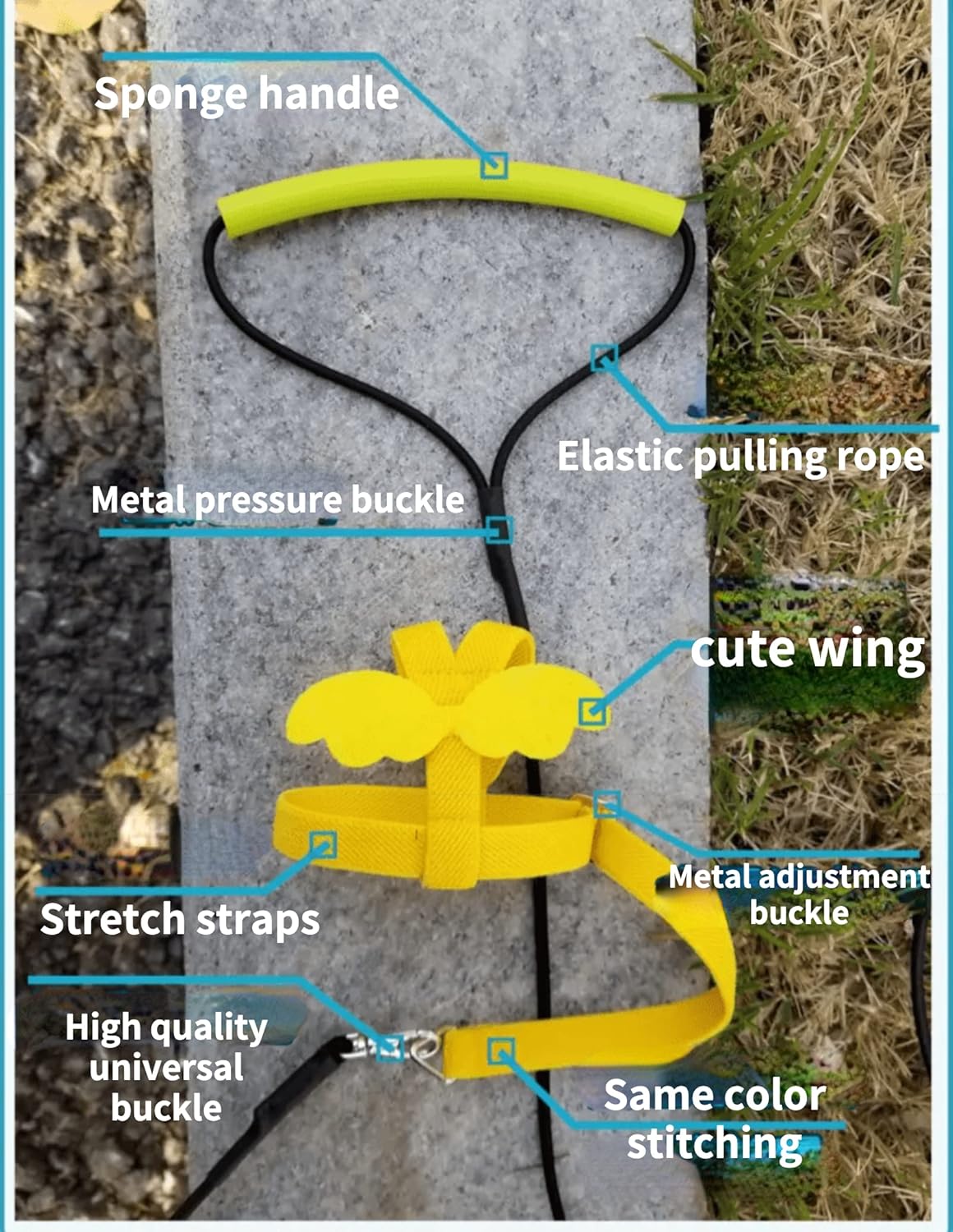 Pet Parrot Bird Harness Leash Adjustable Bird Flying Harness Traction Rope with Cute Wing for