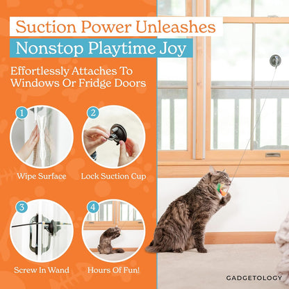 Interactive Cat Toys for Indoor Cats Suction Cup Cat Toys for Indoor Cats Bird Hunting Slefplay