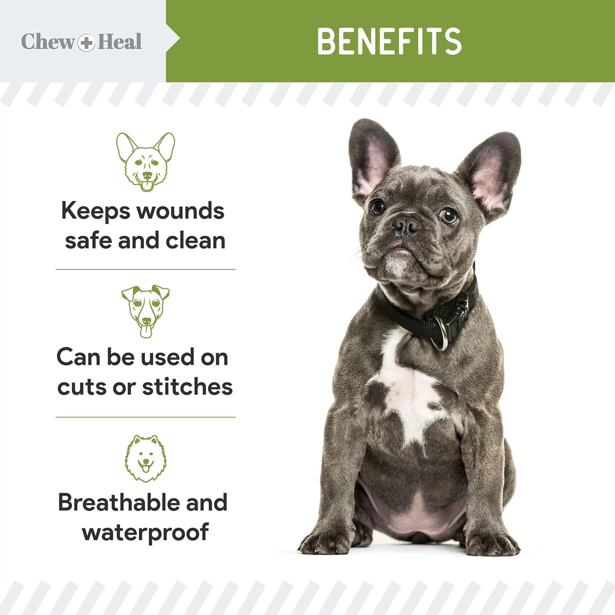 Pet Liquid Bandage for Dogs - 8 oz Spray with Aloe - Wound Care for Dogs Including Cuts, Scrapes