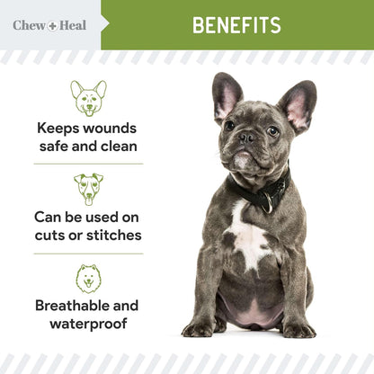 Pet Liquid Bandage for Dogs - 8 oz Spray with Aloe - Wound Care for Dogs Including Cuts, Scrapes