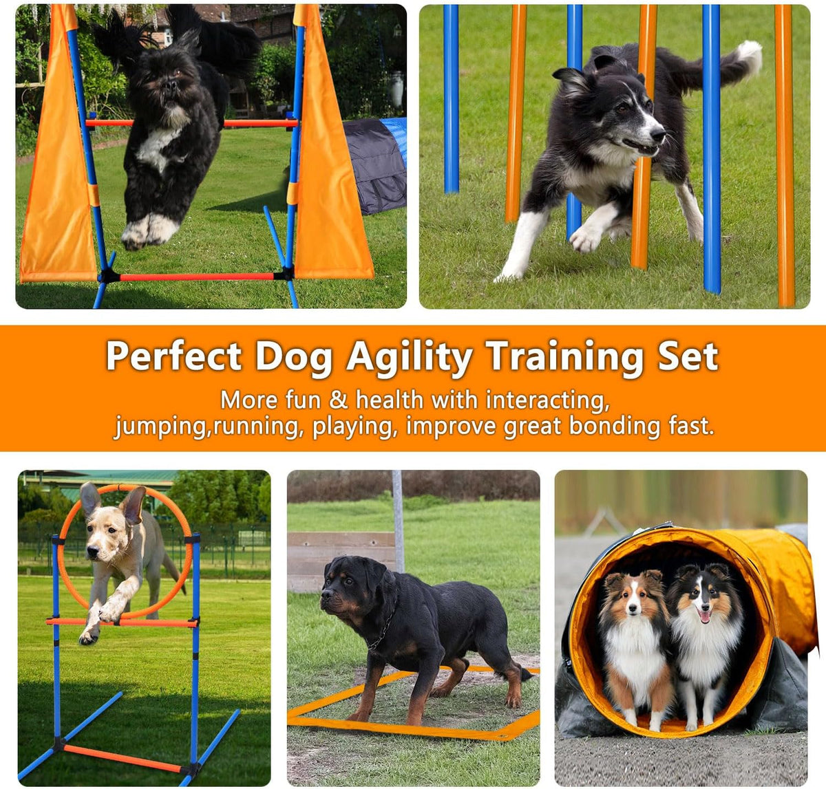 Dog Agility Training Equipment Set Outdoor Indoor Game, Tire Jump + Hurdle Jump, Tunnel, Weave