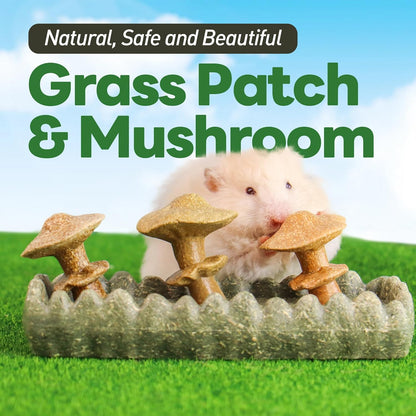 TEEWY 4PCS Guinea Pig Chew Toys, Prevent Teeth Overgrowth, Natural Vegetables and Timothy Grass