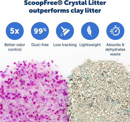PetSafe ScoopFree Disposable Crystal Cat Litter Tray - Easy Cleaning Box - Refill Tray for Electric