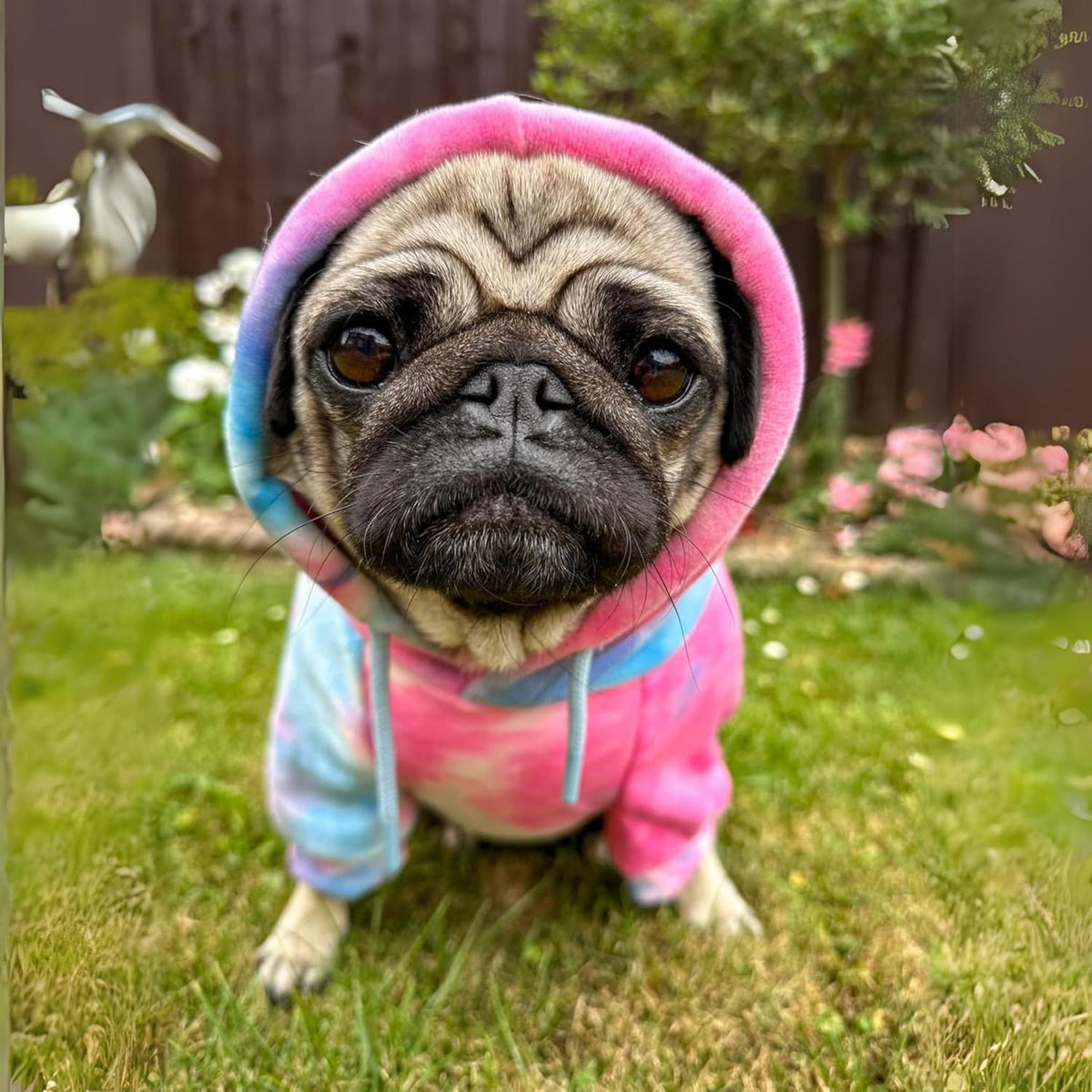 Spark Paws Dog Hoodie – Premium Dog Sweater for Small, Medium, and Large Dogs | Warm Outfits for