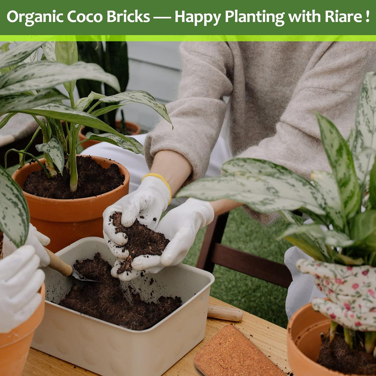 Riare 4pcs Organic Coco Coir Bricks Soil Blocks- 100% Natural Compressed Coco Peat Brick Coconut