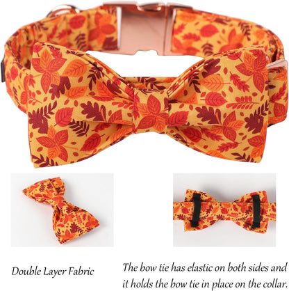 Lionet Paws Dog Collar with Bowtie - Cute Cotton Adjustable Fall Bowtie Dog Collar with Metal