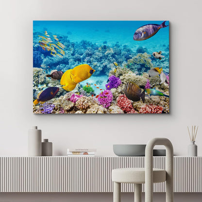 wall26 Canvas Print Wall Art Tropical Underwater Ocean Sea Fish Reef Nature Animals Photography
