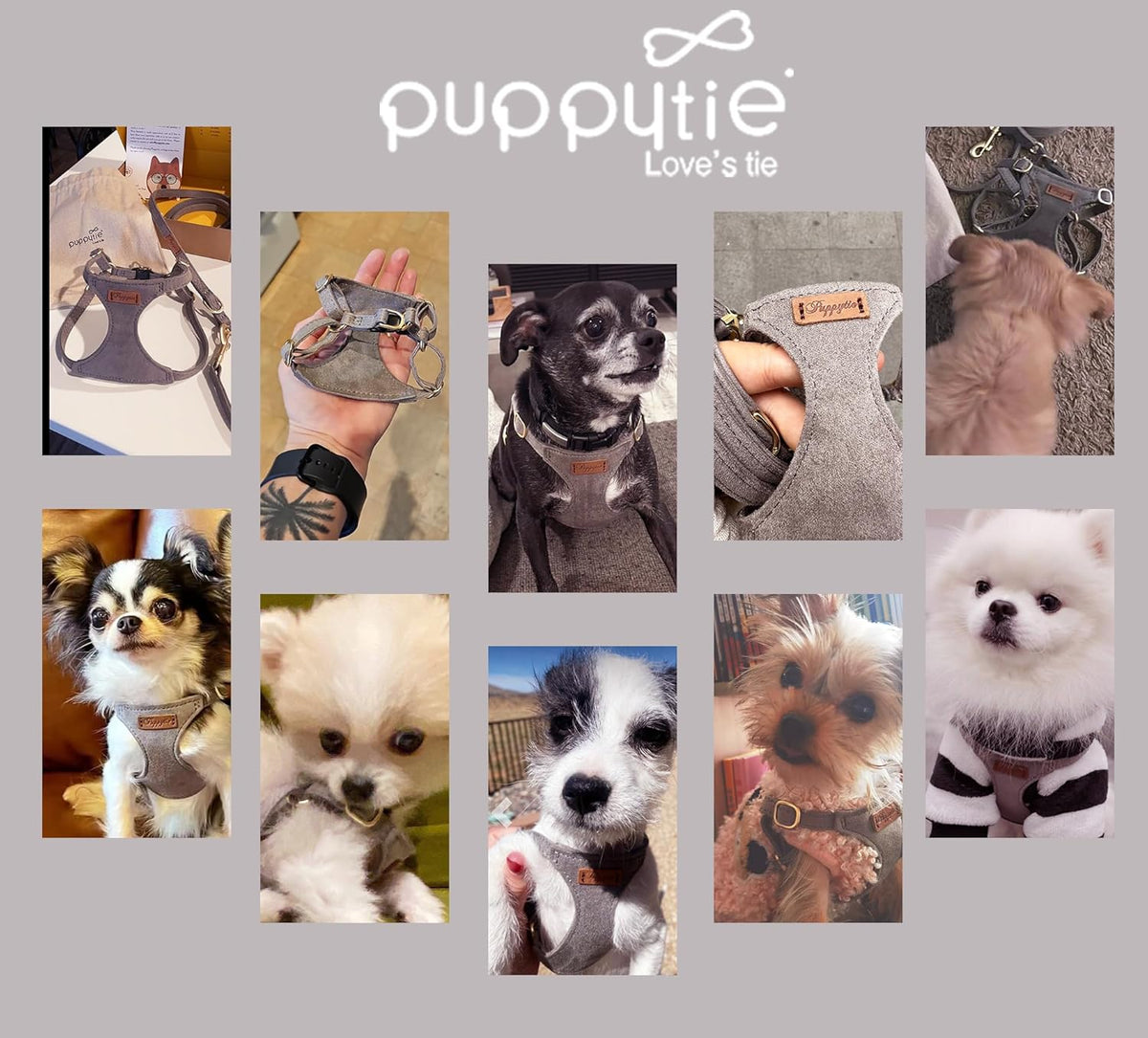 Puppytie No Pull XXS Puppy Harness with Multifunction Dog Leash,Soft Adjustable No Choke Escape