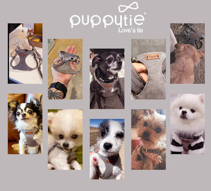 Puppytie No Pull XXS Puppy Harness with Multifunction Dog Leash,Soft Adjustable No Choke Escape